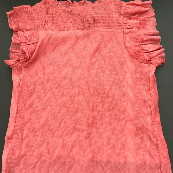 Lapis & Lillies Pink top Sz XL Ruffled Peasant Crinkled Front , Lined, T… - Picture 6 of 9